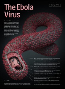 ebola-poster-visual-science
